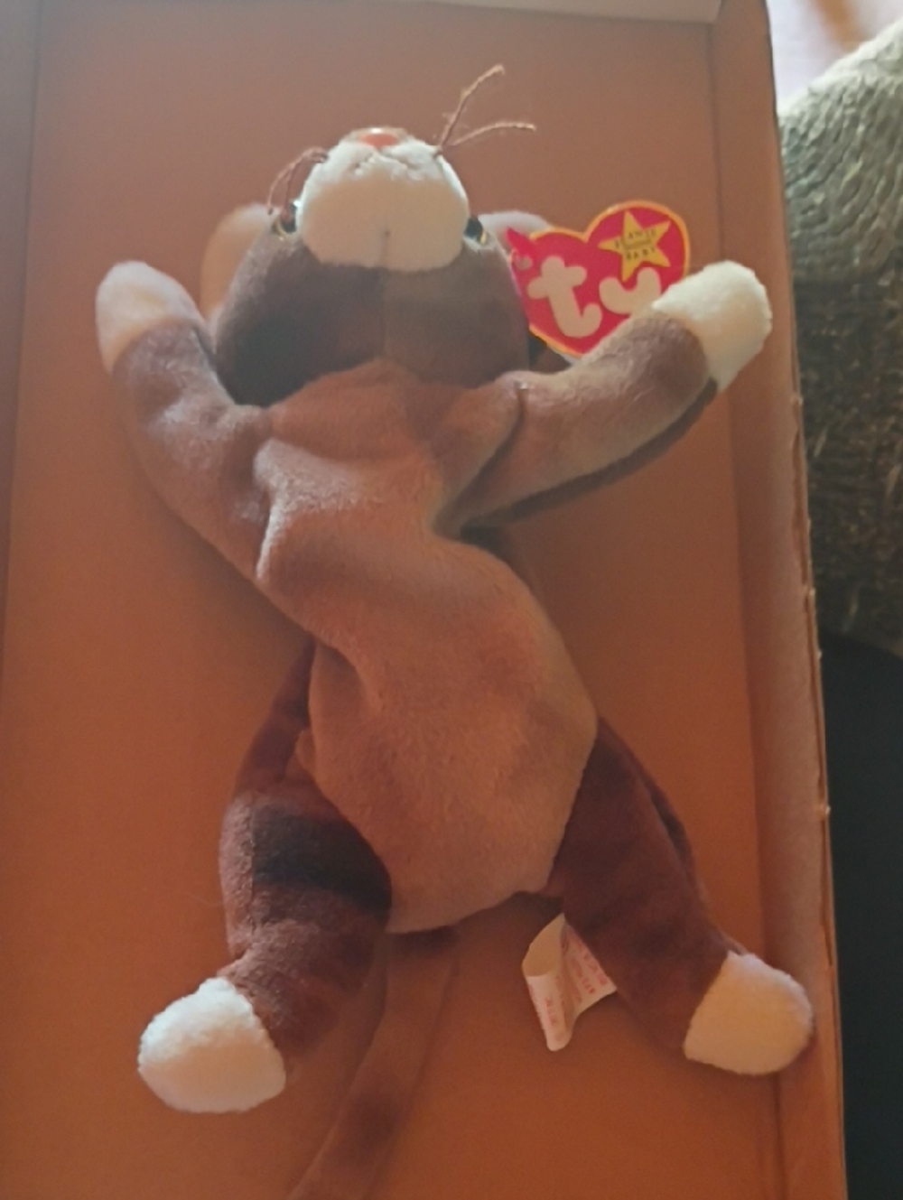 Ty Brown and Cream Cat Beanie Baby with Heart Tag (Pounce) - Picture 3 of 6